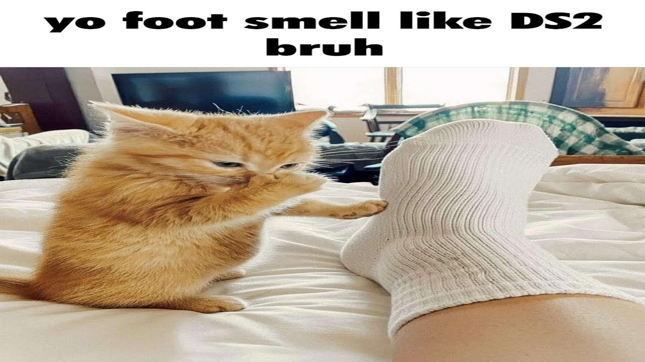 Dark Souls 1 SHIELD ONLY - Part 1/2