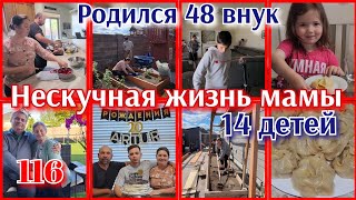 МНОГО ИНТЕРЕСНЫХ СОБЫТИЙ●У РОДИТЕЛЕЙ 48 ВНУКОВ●НА ЧТО СПОСОБНЫ МАМЫ?●#116