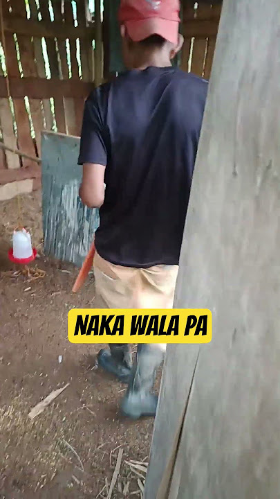 #music #song #funny #lifeisbutadream #farming #haveitoldyoulatelythatiloveyou #hiphop #comedy