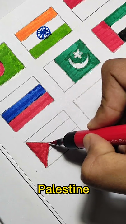 Palestine flag art🇵🇸 All country flag art challenge part 11 #shorts #drawing