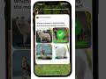 ANIMAL TRIVIA QUIZ at HICH