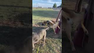 Lucky 2 With Others 6 1 24