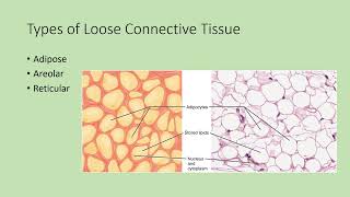 2404 Lab: OER exercise 4
