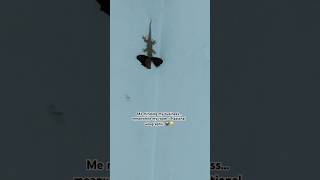 #viral#shorts#wildlife#nature#fypシ#fyp#trending#live#streamer#funny#daily#update#explore