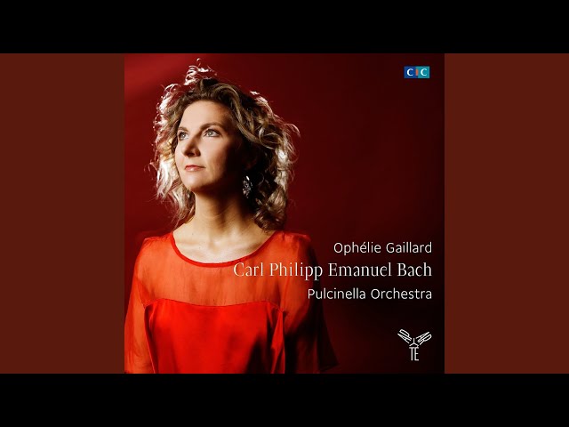 Bach CPE - Symphonie n°5 Wq 182 : O.Gaillard / Orch Pulcinella
