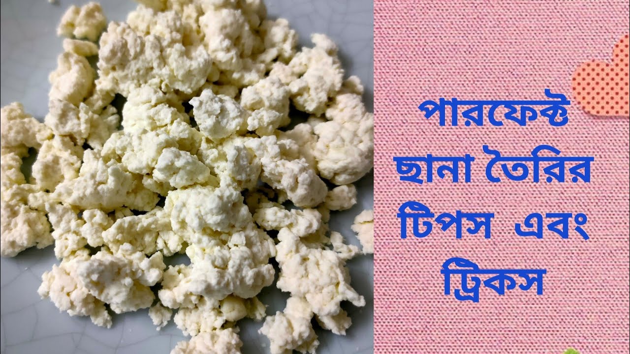 Chana ছানা পারফেক্ট ছানা তৈরি How to make chana at home cottage