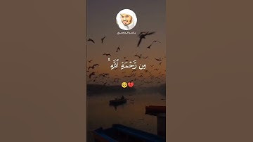 قران كريم #دويتو بصوت #اكسبلور الشيخ ياسر الدوسري #لايك فلسطين حره #duet #تيك_توك