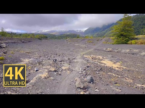 Rocky Mountain Plane Nature Walk 4K (With Ambient Nature Sounds And Music)