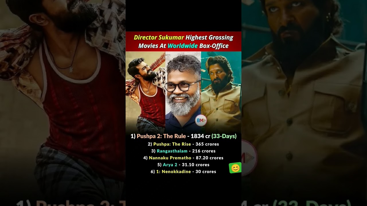 Director Sukumar highest grossing movies 