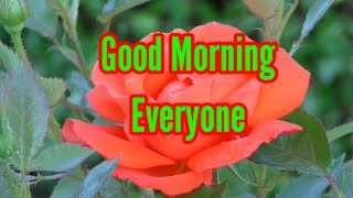 Good Morning Shayari//unique whatsapp status screenshot 3