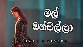 Mal Onchilla (මල් ඔන්චිල්ලා) - Hana Shafa / Slowed & Reverb