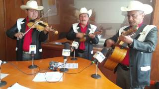 El Gallo. Trío Recuerdo a Hidalgo