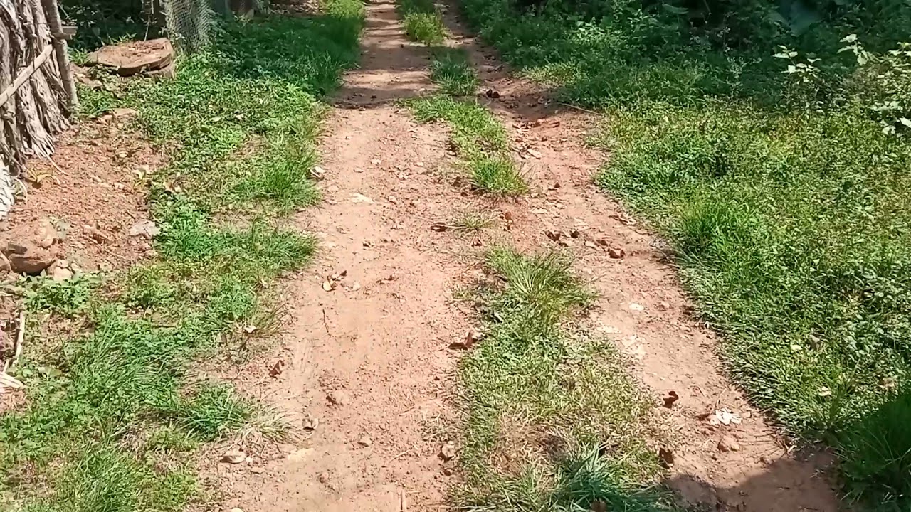 land for sale in kolli hills kollimalai YouTube