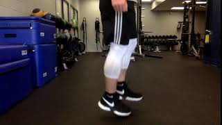 Single Leg Ankle Hops