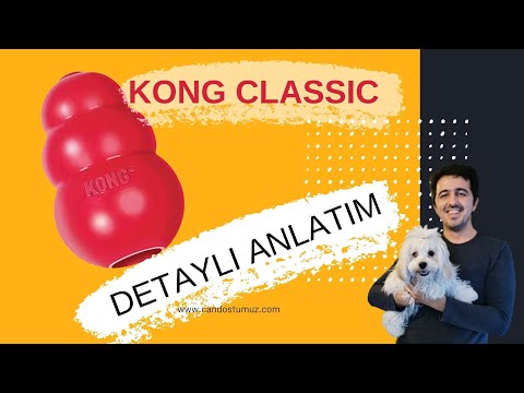 Video: Akıllı Köpek Oyuncakları