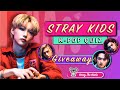 Stray Kids K-Pop Quiz