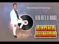 KANUNGO Rmx - Aloka Junior || Official Audio