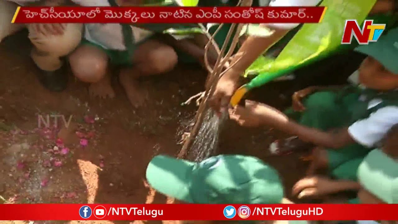 MP Santhosh Kumar Plant Sapling On The Eve Of CM KCR Birthday | NTV