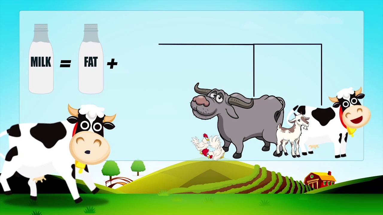 Cattle Feed Concentrate Plus Hindi YouTube Cattle Feed Concentrate Plus Hindi YouTube