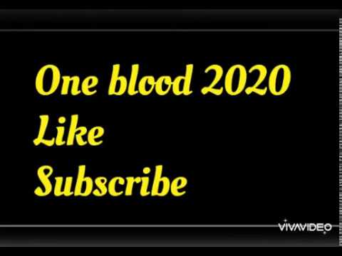 One Blood 2020 (Kavandje) Lyrics | Song