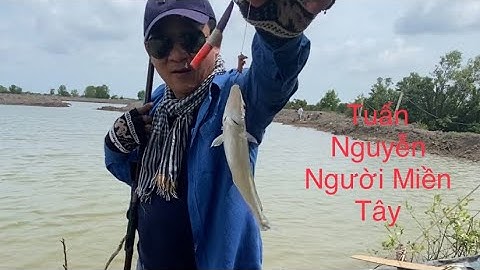 câu cá bống đục khủng ở lý Nhơn cần giờ...