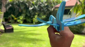 Dollar Tree Foam Glider Airplane $1.25 Toy Review