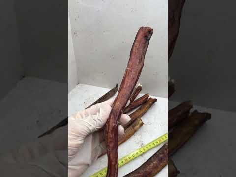Лакомства для собак/ Бычий корень XL