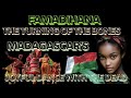 Famadihana: The Turning of the Bones – Madagascar’s Joyful Dance with the Dead