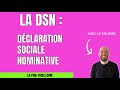 Dsn  dclaration sociale nominative