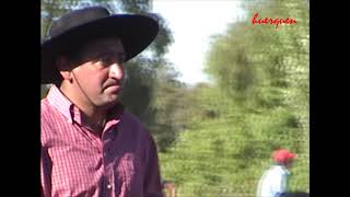 DOMADURAS EN LOS MONTES, REGIÓN DEL MAULE