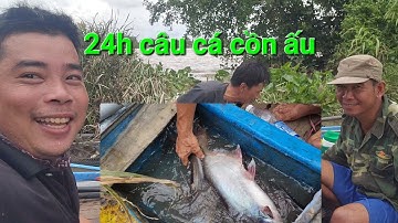 24h câu cá cồn ấu