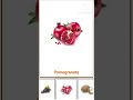 Fruits Name #viral #english #youtubeshorts #englishlearning #new