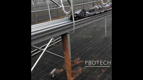 Protech Oval Tube polytunnels and strawberry gutter tabletops