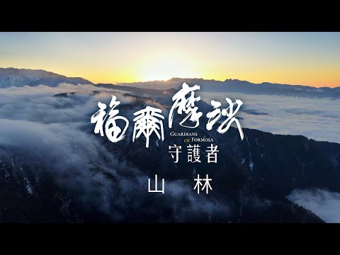 台綜-聚焦全世界-EP 50- 福爾摩沙守護者：山林篇