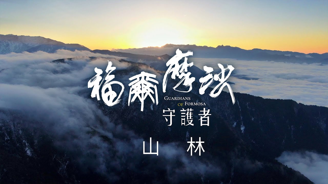 賀！舒夢蘭《福爾摩沙守護者》勇奪第56屆金鐘獎《4K SDR》山林篇 《聚焦全世界》第50期 (中英文字幕) ｜舒夢蘭｜Guardians of Formosa : Mountain Forest
