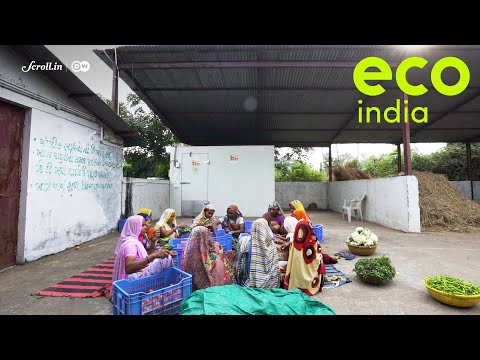 eco-india:-a-low-cost-cold-storage-facility-that-could-help-marginal-farmers-make-big-profits