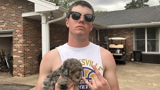 We Got Buzz Cuts!!