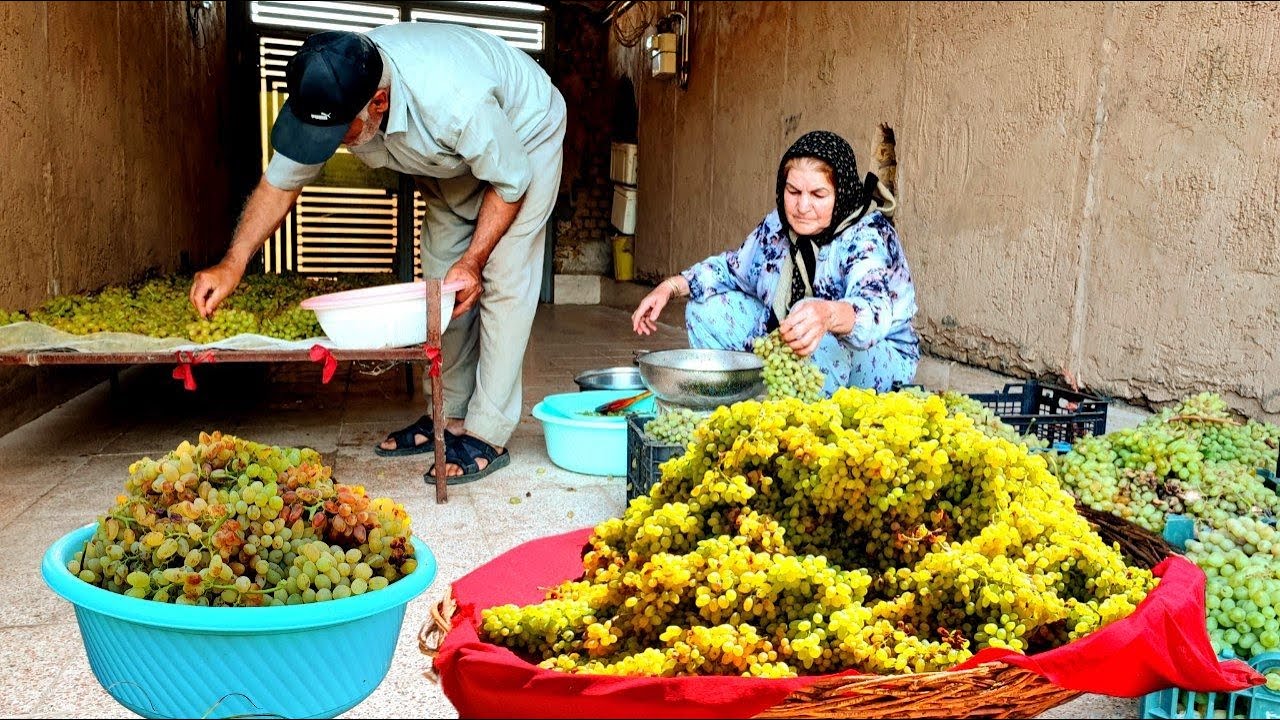 Traditional Raisin Making in the Village | From Grape Harvest to Sun-Drying