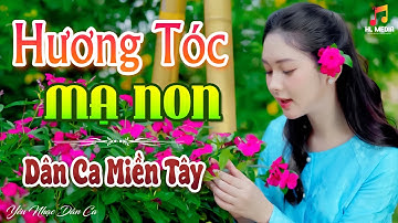 HƯƠNG TÓC MẠ NON - LK Nhạc Trữ Tình Dân Ca Hay Nhất - Dân Ca Miền Tây Chọn Lọc 2024