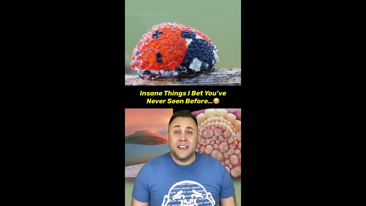 INSANE THINGS YOU VE PROBABLY NEVER SEEN BEFORE 