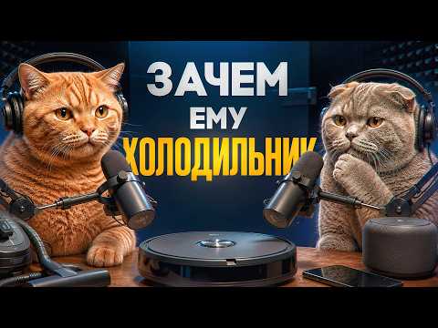 КотВаська34 - Alsbb