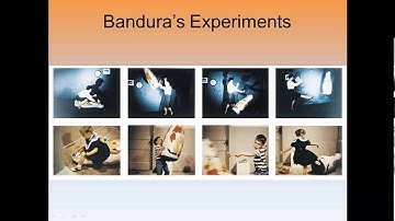 Learning by Observation 3