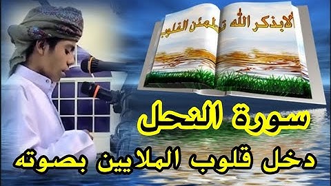 أجمل الأصوات 📣 أسامة زهري 🔉 Usama Zehri .         سورة النحل