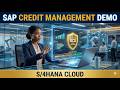 SAP S/4HANA Cloud Credit Management: Reduce Risk & Improve Cash Flow