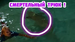 Огромные Скаты И Акулы На Мальдивах ! / Выполняю Смертельный Трюк !