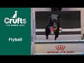 Flyball Semi-Finals &amp; Final Part 1 | Crufts 2023