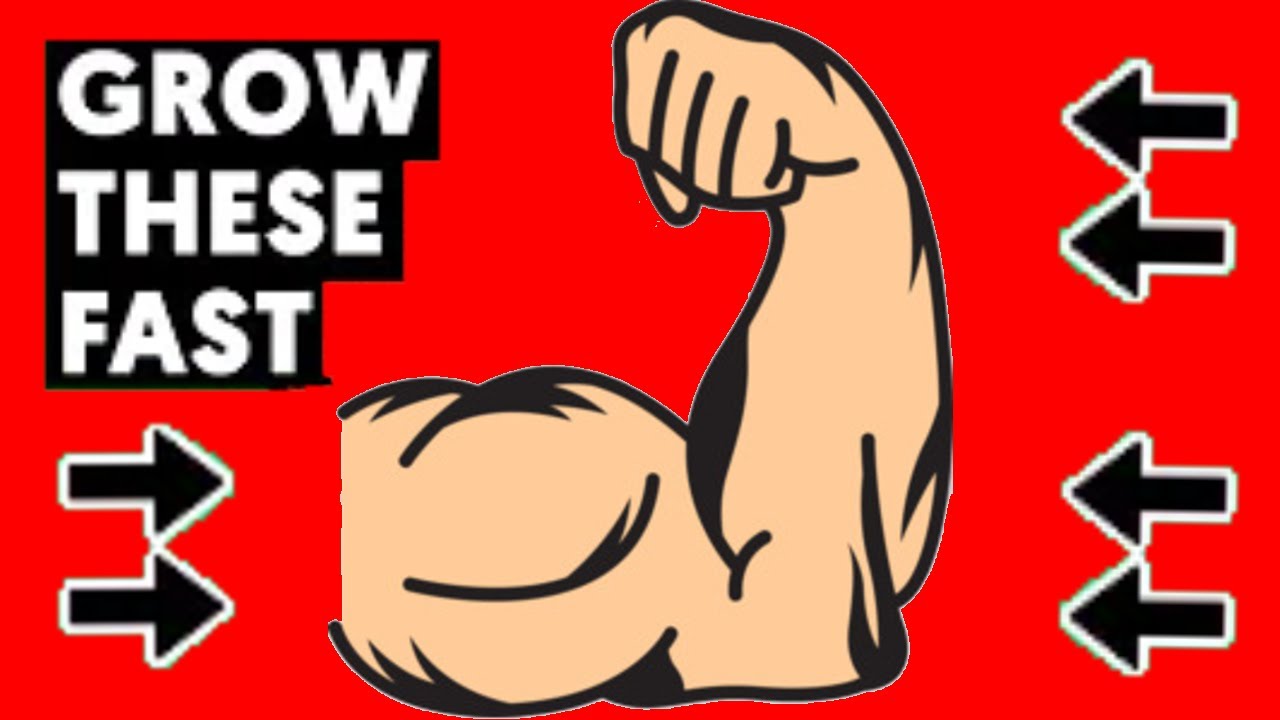 Here are the 5 Best exercises to get bigger arms in 2020 (FAST!!) YouTube