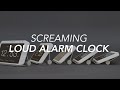 Screaming Meanie Forte Extra Loud Alarm Clock