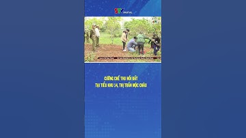 Cưỡng chế thu hồi đất thực hiện dự án Đầu tư hạ tầng khu tái định cư Tiểu khu 14, thị trấn Mộc Châu