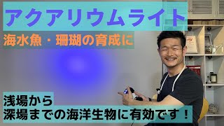 【アクアリウム】水槽用ライト 海水魚・珊瑚の育成にLEDはコスパ最強！